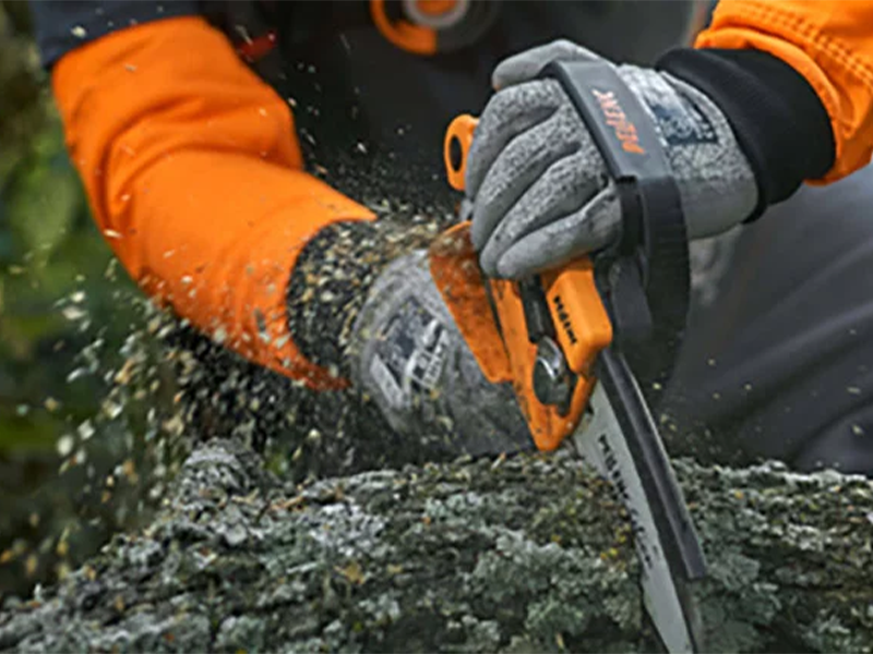 Pellenc Selion Baumschnitt